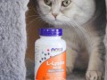赖氨酸喂猫喂多少—赖氨酸喂猫攻略：科学补给，助猫咪健康成长