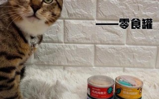 猫零食罐头怎么喂—猫零食罐头喂食指南：量、频次、技巧全掌握